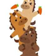 ヒメ日記 2026/01/03 21:38 投稿 あんり☆激キレカワSSS級美女♪ 妹系イメージSOAP萌えフードル学園 大宮本校