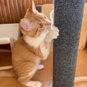 ヒメ日記 2025/02/07 00:08 投稿 ひより☆男性経験ほぼゼロ♪ 妹系イメージSOAP萌えフードル学園 大宮本校