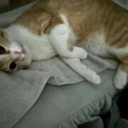 ヒメ日記 2025/03/20 15:59 投稿 ひより☆男性経験ほぼゼロ♪ 妹系イメージSOAP萌えフードル学園 大宮本校