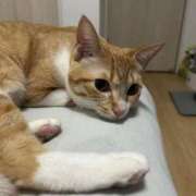 ヒメ日記 2025/03/22 16:08 投稿 ひより☆男性経験ほぼゼロ♪ 妹系イメージSOAP萌えフードル学園 大宮本校