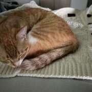 ヒメ日記 2025/04/07 00:18 投稿 ひより☆男性経験ほぼゼロ♪ 妹系イメージSOAP萌えフードル学園 大宮本校