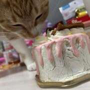 ヒメ日記 2025/04/11 16:26 投稿 ひより☆男性経験ほぼゼロ♪ 妹系イメージSOAP萌えフードル学園 大宮本校