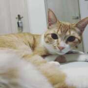 ヒメ日記 2025/04/21 00:07 投稿 ひより☆男性経験ほぼゼロ♪ 妹系イメージSOAP萌えフードル学園 大宮本校