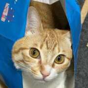 ヒメ日記 2025/04/26 16:19 投稿 ひより☆男性経験ほぼゼロ♪ 妹系イメージSOAP萌えフードル学園 大宮本校