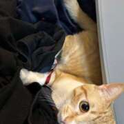 ヒメ日記 2025/05/02 01:57 投稿 ひより☆男性経験ほぼゼロ♪ 妹系イメージSOAP萌えフードル学園 大宮本校