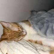 ヒメ日記 2025/05/07 00:50 投稿 ひより☆男性経験ほぼゼロ♪ 妹系イメージSOAP萌えフードル学園 大宮本校