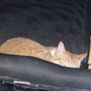 ヒメ日記 2025/05/10 16:04 投稿 ひより☆男性経験ほぼゼロ♪ 妹系イメージSOAP萌えフードル学園 大宮本校