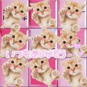 ヒメ日記 2025/07/01 16:17 投稿 ゆゆ 蒲田ウルトラギャラクシー