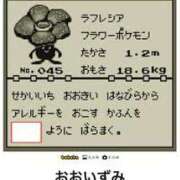 ヒメ日記 2025/07/26 11:19 投稿 一条姉さん 男性機能鍛錬道場