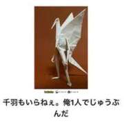 ヒメ日記 2025/08/02 11:02 投稿 一条姉さん 男性機能鍛錬道場