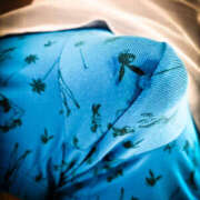 ヒメ日記 2025/03/28 16:36 投稿 伊東姉さん 男性機能鍛錬道場