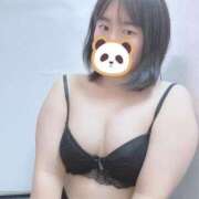 ヒメ日記 2025/04/06 00:44 投稿 れに 奥様特急　上野・鶯谷店