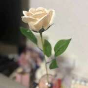 ヒメ日記 2025/11/13 23:11 投稿 のの X-PARTY