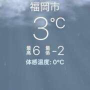 ヒメ日記 2025/02/07 10:35 投稿 長谷川 ひかる ハレ系 ひよこ治療院(中州)