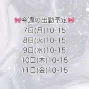 ヒメ日記 2025/07/07 12:00 投稿 長谷川 ひかる ハレ系 ひよこ治療院(中州)