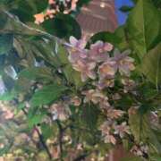 ヒメ日記 2025/05/07 23:35 投稿 みお 完熟ばなな新宿