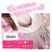 ヒメ日記 2024/12/11 14:43 投稿 まお 尼妻（あまづま）