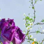 ヒメ日記 2024/12/21 00:28 投稿 りな ミセスコレクション(岡山)