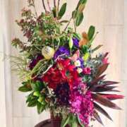 ヒメ日記 2025/01/05 07:50 投稿 りな ミセスコレクション(岡山)