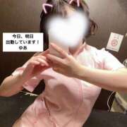 ヒメ日記 2025/02/24 01:24 投稿 ゆあ エスッテ×エスッテ