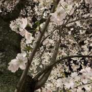 ヒメ日記 2025/04/05 22:45 投稿 ゆあ エスッテ×エスッテ