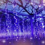 ヒメ日記 2024/12/08 00:29 投稿 まりこ 西船人妻花壇