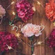 ヒメ日記 2025/06/29 11:25 投稿 まりこ 西船人妻花壇