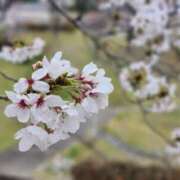 ヒメ日記 2026/04/02 18:29 投稿 飴村めろ ニューハーフヘルスLIBE 日本橋