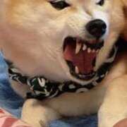 桜（さくら） ひまわりと申します 丸妻 錦糸町店