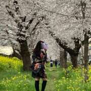 ヒメ日記 2025/03/22 11:38 投稿 いと 脱がされたい人妻 熊谷店