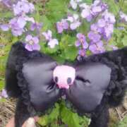 ヒメ日記 2025/03/27 11:05 投稿 いと 脱がされたい人妻 熊谷店