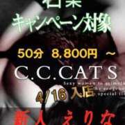ヒメ日記 2024/04/22 14:37 投稿 えりな C.C.CATS