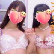 ヒメ日記 2025/03/17 16:08 投稿 えりな C.C.CATS