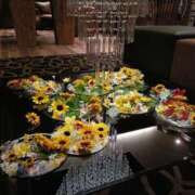 えりな 急遽通院になった為、お休みさせて頂きますm(_ _)m C.C.CATS