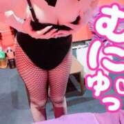 ヒメ日記 2025/12/19 11:01 投稿 サラ ドMなバニーちゃん大宮店