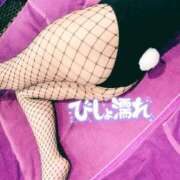 ヒメ日記 2026/01/25 20:01 投稿 サラ ドMなバニーちゃん大宮店