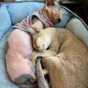 ヒメ日記 2025/01/28 18:21 投稿 ゆりえ 素人オナクラ美少女