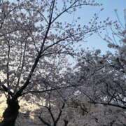 ヒメ日記 2025/04/05 14:44 投稿 きあら ビデオDEはんど 名古屋校