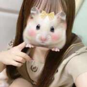 ヒメ日記 2025/10/16 11:45 投稿 きあら ビデオDEはんど 名古屋校