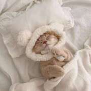 ヒメ日記 2025/12/24 13:45 投稿 きあら ビデオDEはんど 名古屋校