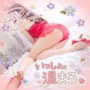 ゆり 🌸神花の日🌸 モアグループ神栖人妻花壇