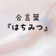 ヒメ日記 2026/05/15 15:03 投稿 松井 ふうか Men's relaxation VEGA