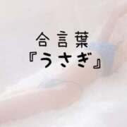 ヒメ日記 2026/05/20 15:17 投稿 松井 ふうか Men's relaxation VEGA