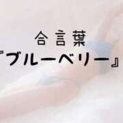 ヒメ日記 2026/05/25 15:31 投稿 松井 ふうか Men's relaxation VEGA