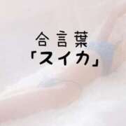 ヒメ日記 2026/06/08 15:31 投稿 松井 ふうか Men's relaxation VEGA