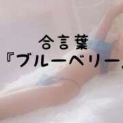 ヒメ日記 2026/06/22 15:30 投稿 松井 ふうか Men's relaxation VEGA