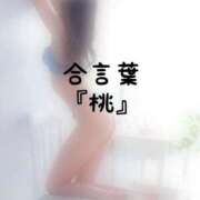 ヒメ日記 2026/07/23 17:03 投稿 松井 ふうか Men's relaxation VEGA