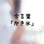 ヒメ日記 2026/08/04 15:01 投稿 松井 ふうか Men's relaxation VEGA