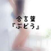 ヒメ日記 2026/08/10 11:01 投稿 松井 ふうか Men's relaxation VEGA