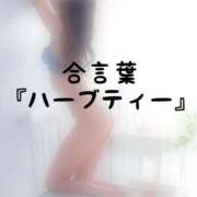 ヒメ日記 2026/08/14 13:00 投稿 松井 ふうか Men's relaxation VEGA